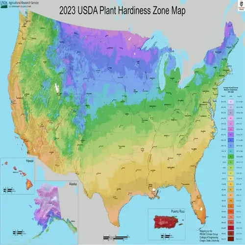 2023 usda plant hardiness zone map - colorful garden zone reference for us plant climate zones