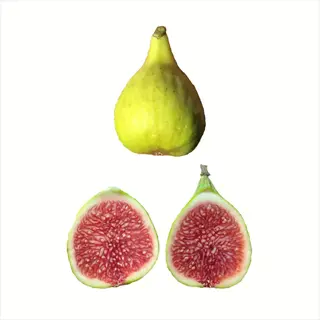adriatic fig strawberry: whole green fig and halved figs showing pink strawberry-colored flesh with seeds on white background