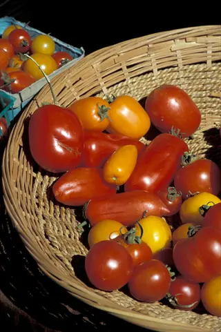 amish paste tomato and other varieties in a wicker basket with cherry tomatoes, displayed at a farmers market