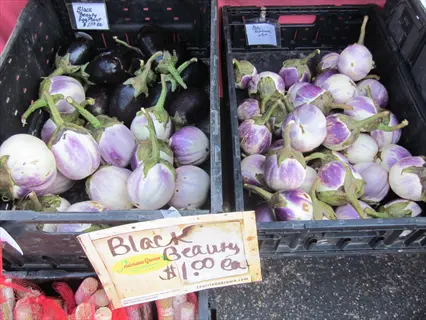 black beauty eggplants in a crate labeled 'black beauty' at a market, alongside other varieties of eggplants, showing fresh produce for sale