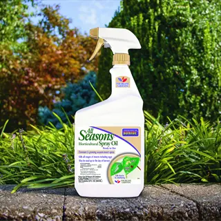bonide all seasons ready-to-use horticultural oil spray bottle on stone ledge with green garden backdrop