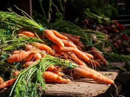 bountiful carrots garden harvest with vibrant orange roots and lush green tops piled on a rustic wooden surface
