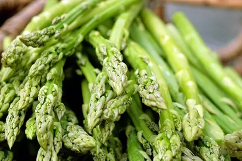bountiful harvest of thick asparagus spears with vibrant green stalks and tender tips
