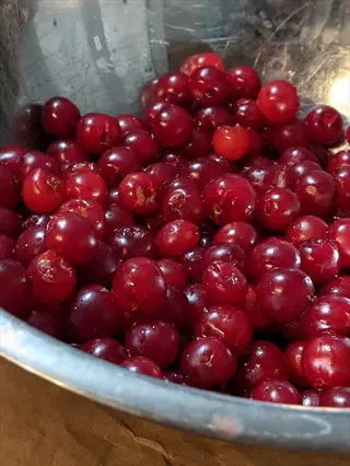 bowl of fresh montmorency tart cherries with glossy red skins and stems in a stainless steel bowl