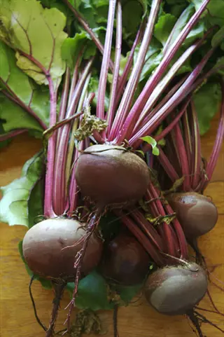 bunch of freshly harvested detroit dark red beets with vibrant green leaves and deep red stems on a wooden surface