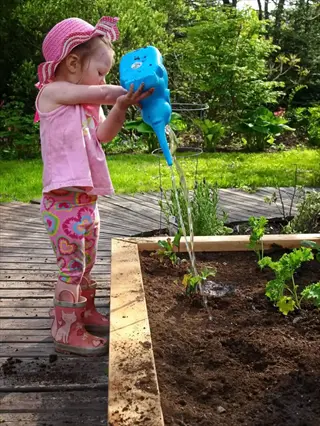 child watering a raised garden bed with a blue watering can
