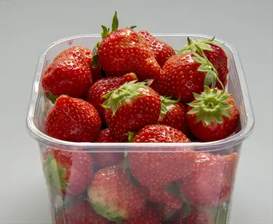 clear plastic container filled with ripe tristar strawberries featuring bright red color and green caps