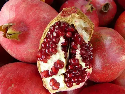 close-up of a cut parfianka pomegranate with juicy red arils surrounded by whole fruits (parfianka pomegranate cut)