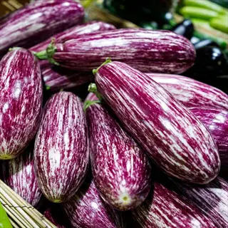 close-up of 'fairy tale striped eggplant' with pale purple and white stripes, displayed in a basket at a market, showcasing their unique appearance