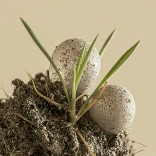 close-up of garden compost quality showing seed pods and young plants in dark soil