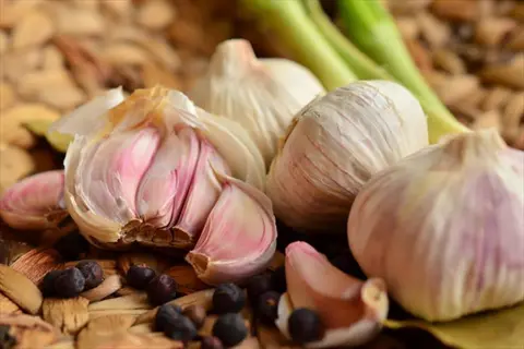 close-up of garlic bulbs, including music (hardneck porcelain), with spices and green onions