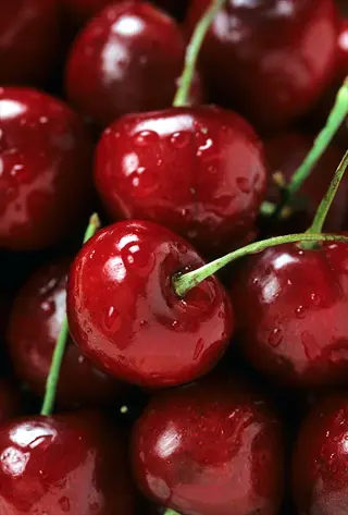 close-up of glossy, dark red bing cherries with water droplets, showcasing their ripe and juicy appearance