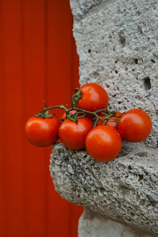 cluster of red cherry tomatoes on a textured stone ledge with red background