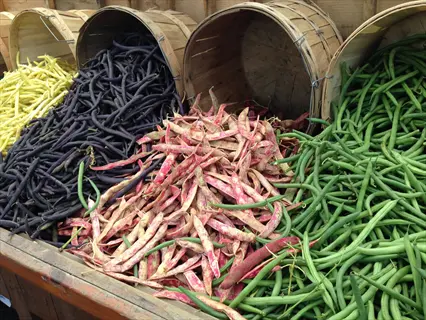 colorful assortment of bush beans including green, purple, yellow, and speckled varieties in wooden baskets