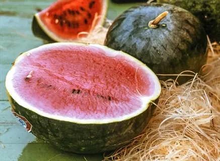 crimson sweet watermelon, sliced and whole, with vibrant red flesh