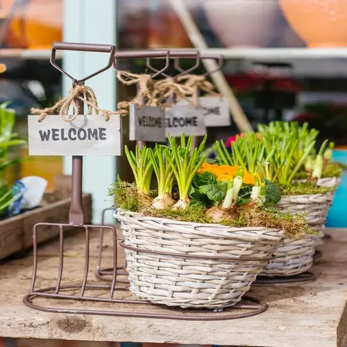decorative flower bulbs in storage crates with welcome signs