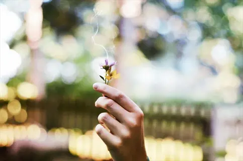 delicate hand pinching flower stem fingers while holding a tiny purple-yellow wildflower in a sunlit garden, soft bokeh foliage background