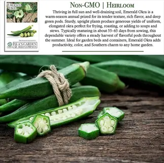 emerald okra seed packet with description and close-up of sliced okra pods showing round cross-sections on a wooden surface