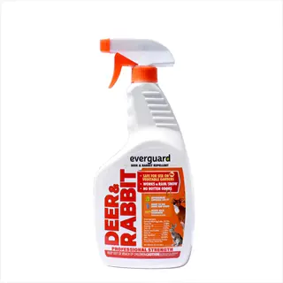 everguard deer & rabbit repellent spray bottle for protecting garden plants