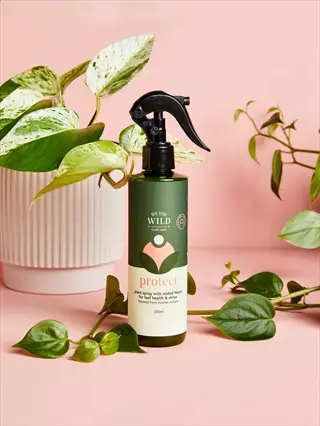 for the wild 'protect' neem oil plant treatment spray bottle with trigger nozzle among indoor plants