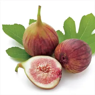 fresh celeste fig purple fruits: whole and sliced open revealing pink flesh with seeds, accompanied by green fig leaves on white background