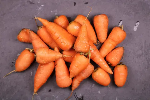 fresh chantenay carrots with short, sturdy shapes piled on a gray surface