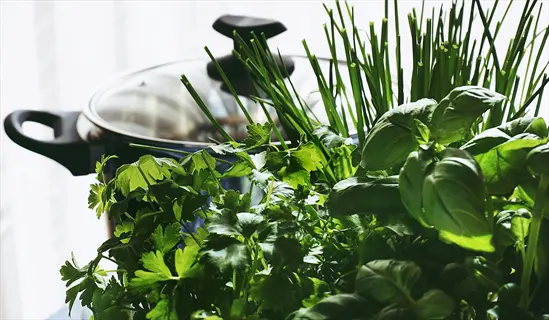 fresh chives and herbs in a kitchen with a pot in the background