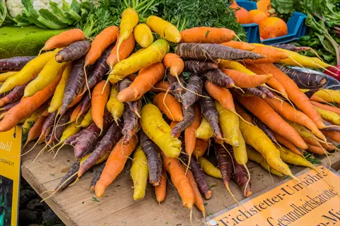 fresh imperator long carrots in multiple colors (yellow, orange, purple) with green tops displayed at a market stall with german signage