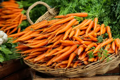 freshly harvested nantes carrots with green tops overflowing from a wicker basket at a market