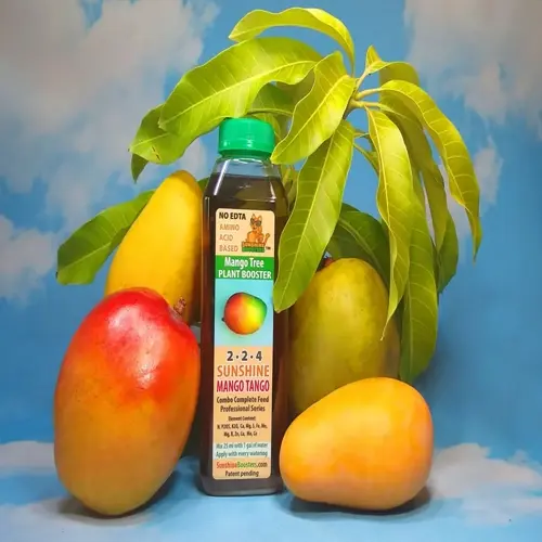 fruit tree fertilizer application: bottle of sunshine mango tango plant booster surrounded by fresh mango fruits and green leaves against blue sky