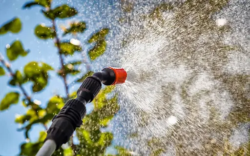 garden hose spray nozzle releasing water mist toward leafy plants under a bright blue sky