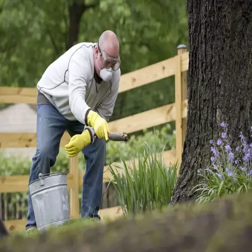 gardener in protective gear tending epsom salt garden plants near tree and fence in backyard with bluebells