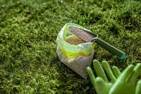 granular fertilizer bag with scoop and gardening gloves on lush green grass in garden setting