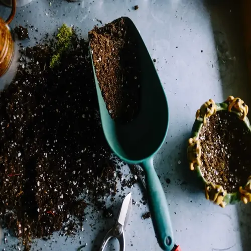 green scoop with soil, gardening tools, and a decorative pot with frogs, representing a plant micronutrient garden