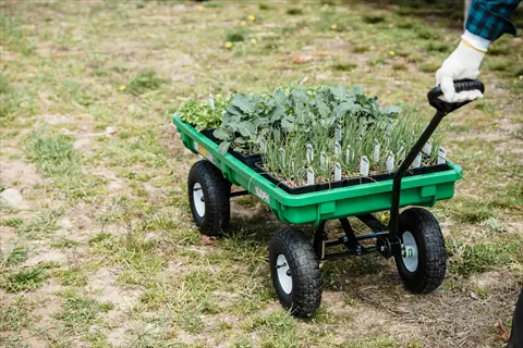 green wheeled garden wagon carrying multiple seedling trays with labeled plants (onion, broccoli), gloved hand pulling handle on grassy outdoor area