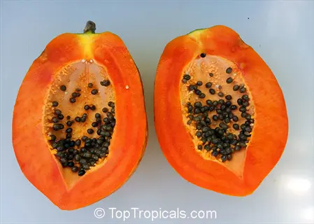 halved papaya with seeds, ready for preparation