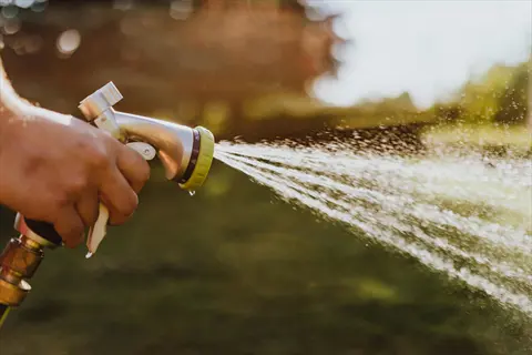 hand holding garden hose nozzle spraying strong water stream in sunny outdoor garden
