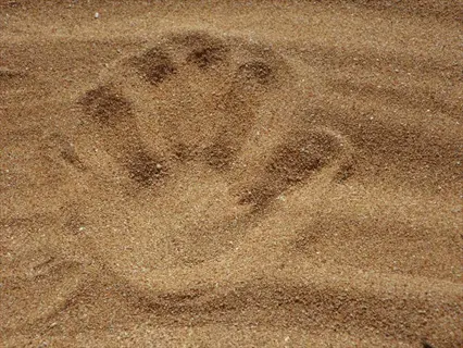 handprint impression in sandy loam garden soil with granular texture, demonstrating well-drained soil structure