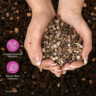 hands holding potting soil coarse sand mix with essential nutrients (ca, zn, mg) and plant immunity benefits. veryplants brand
