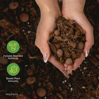 hands holding soil with fertilizer spikes and organic amendments, overlaid with nutrient and immunity badges (veryplants brand)