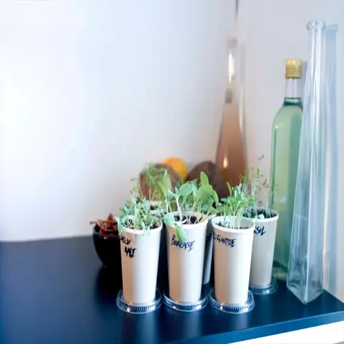 indoor herb garden windowsill with labeled pots of mint, parsley, and cilantro alongside decorative bottles against a light wall