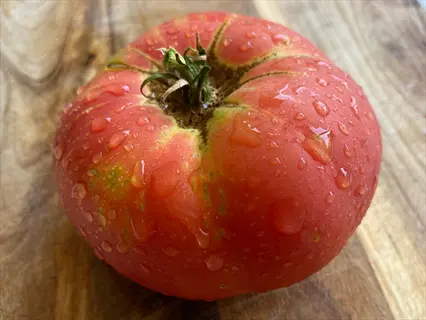 large brandywine heirloom tomato with water droplets, showcasing pink-red skin with green shoulders on a wooden surface
