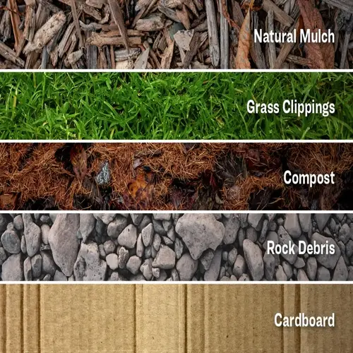 layers of materials for lasagna gardening: cardboard, rock debris, compost, grass clippings, and natural mulch