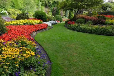 lush shearing flower bed garden featuring vibrant red, yellow, and purple blooms flanking a manicured lawn in a verdant park-like setting