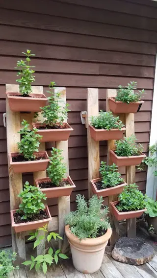 mint container garden featuring vertical wooden planters with multiple terracotta pots of green herbs against a brown wall