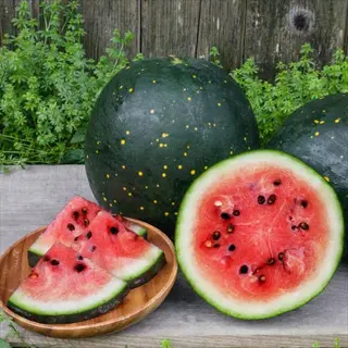 moon stars heirloom watermelon with yellow speckles, whole and sliced, on a wooden surface
