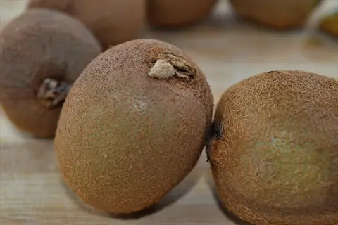 multiple jenny kiwi fruit (actinidia deliciosa) with brown fuzzy skins arranged on a wooden surface