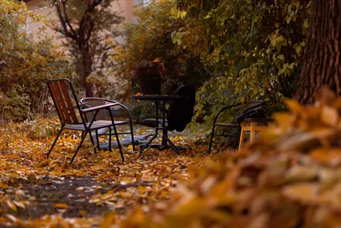 outdoor seating area covered with dried leaves in an autumn garden setting
