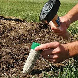 person hammering tree fertilizer spike into ground near tree base, using a sledgehammer for installation. (tree fertilizer spikes ground shown)