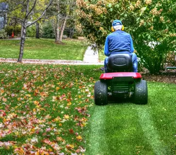 person operating riding lawn mower mulching leaves in an autumn residential yard to manage fallen foliage properly